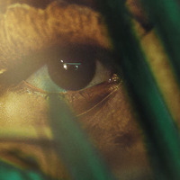 『動物界』COPYRIGHT © NETFLIX, INC. AND IT'S AFFILIATES, 2026. ALL RIGHTS RESERVED.