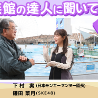 水族館のスペシャリストで、現・日本モンキーセンター園長の下村実氏と SKE48 鎌田菜月