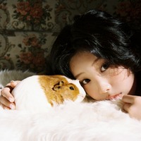 (P)&(C) BELIFT LAB Inc.