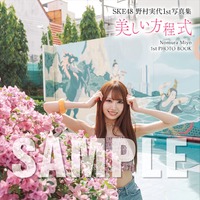 野村実代 1st写真集『美しい方程式』特典