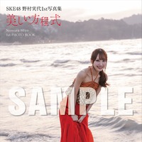 野村実代 1st写真集『美しい方程式』特典