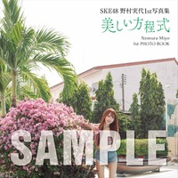 野村実代 1st写真集『美しい方程式』特典