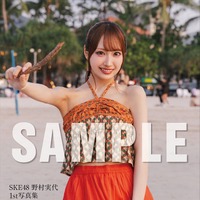 野村実代 1st写真集『美しい方程式』特典