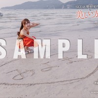 野村実代 1st写真集『美しい方程式』特典