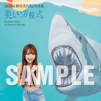 野村実代 1st写真集『美しい方程式』特典