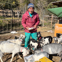 （ｃ）ABCテレビ