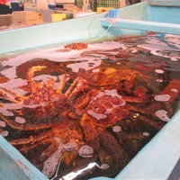 お好みの蟹をお選びいただき、その場でボイル。