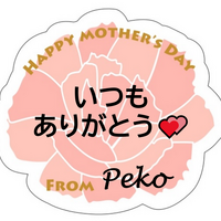 「メッセージペーパープレート」