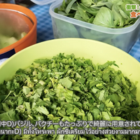 【アジア美食レポート】約350円で食べ放題！バンコクの激安クイッティアオ店に潜入
