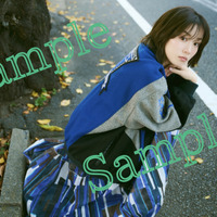 （C）SDP