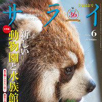『サライ』 2026年 6月号（小学館）