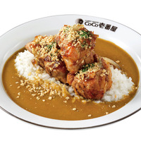 ホロ肉ドカンと豪快カレー　肉塊 LEVEL2