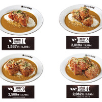 ホロ肉ドカンと豪快カレー