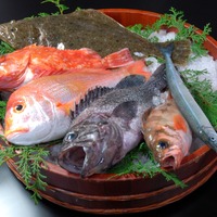 地魚