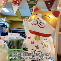 【アジア美食レポート】50円串焼きに幻の赤バナナ、揚げ麺ラートナーも！スクンビット101の路地裏グルメ
