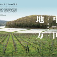 『Winart（ワイナート）』2026年夏号／ 125号（株式会社美術出版社）