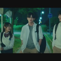 (C)2026 Megameta Ent., Ltd, Apollo Pictures, Inc., 株式会社 タートルズ All right reserved