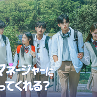 (C)2026 Megameta Ent., Ltd, Apollo Pictures, Inc., 株式会社 タートルズ All right reserved