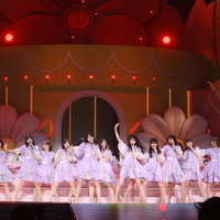 乃木坂46LLC