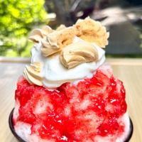 丹波産いちごの贅沢かき氷／淀屋橋店