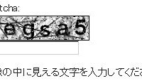 一般的なCAPTCHA認証の例