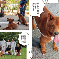 巻頭９ｐぶんには、犬と高校生たちのグラビアページ掲載。子犬の写真多数