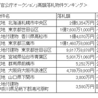 2009年度官公庁オークション高額落札物件ランキング