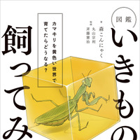 『図鑑いきもの飼ってみた カマキリを黄色い世界で育てたらどうなる？』（KADOKAWA）
