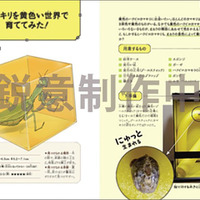 『図鑑いきもの飼ってみた カマキリを黄色い世界で育てたらどうなる？』（KADOKAWA）