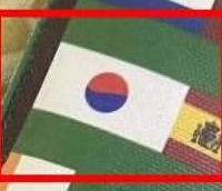 あまりにもお粗末な韓国国旗に大学教授怒り、世界的ハンバーガーチェーンのW杯記念グッズが物議