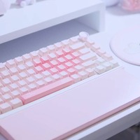 RazerのマウスとYUNZIIのキーボード（C）RafiRaffee