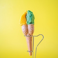 鹿児島【たっちゃんのジェラート】ジェラートダブル〈たんかん＆月桃〉
