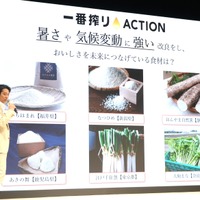堤真一と小芝風花、塩むすびとウニの美味さに感激！ステージでビールで乾杯も