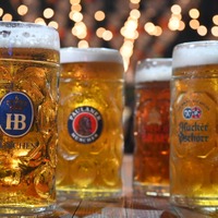 3L巨大ジョッキで乾杯！ドイツビールと料理を楽しめる「オクトーバーフェスト2026」芝公園・豊洲で開催 画像