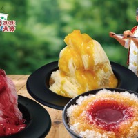 世界のかき氷とトルコアイス
