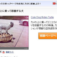 Yahoo!映像トピックス「なぜかカメの上に乗って移動する犬」