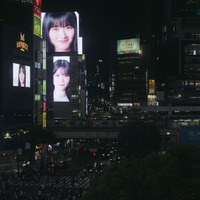 乃木坂46LLC / Seed&FlowerLLC