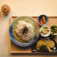天ぷら御膳 ざる