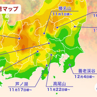 「第一回紅葉見頃予想2026」