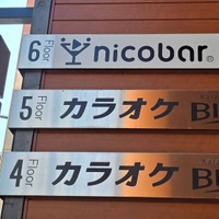 カラオケの個室は仕事場になるのか？ビッグエコーのテレワークプランを試してみた