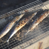 第41回「さんま祭り」