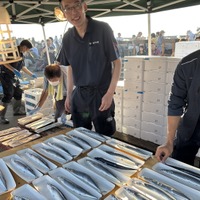 第41回「さんま祭り」