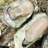 蒸し牡蠣