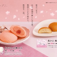 連続テレビ小説「ブラッサム」ロゴライセンス商品
