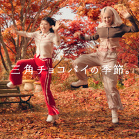 CMカット
