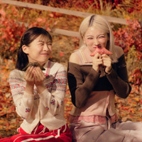 CMカット