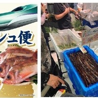 函館から新幹線で輸送する朝獲れ鮮魚