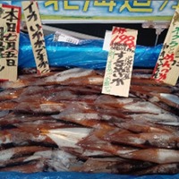 店舗の水産売場に鮮魚が並ぶ様子