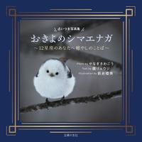 スピリチュアルな雰囲気あふれる、シックな濃紺のカバー。うかびあがるシマエナガの清らかな白が印象的