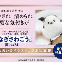 シマエナガの写真と占い、イラストを組み合わせた書籍